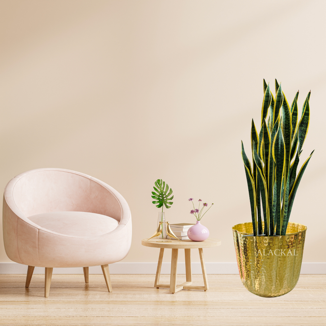Brass Flower Pot for Living Room Decor – Golden Hammered Design – Perfect Housewarming Gift