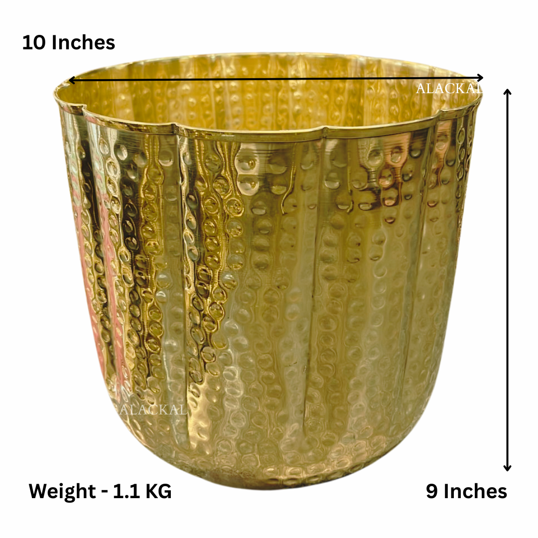 Indoor Money Plant in Brass Hammered Pot – Modern & Traditional Home Decor Planter