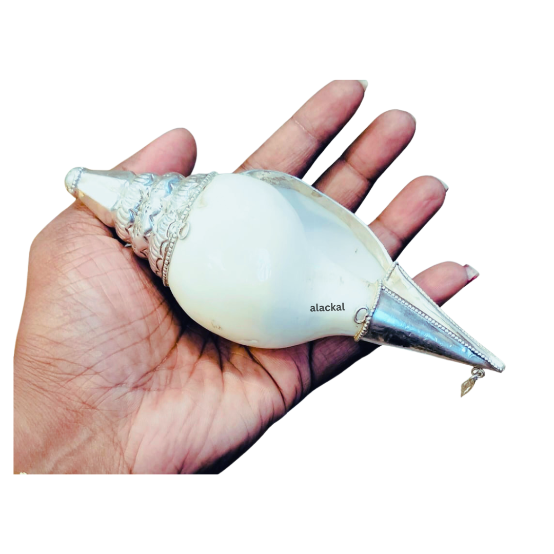 AUTHENTIC PURE SILVER SHANKH | SILVER CONCH SHELL | SHANKHU FOR POOJA RITUALS