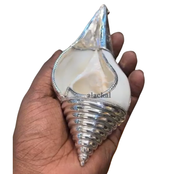 PURE SILVER COATED SHANKH  WITH RED BEADS