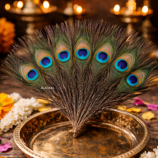 Sacred Mayilpeeli Set of 7 (Peacock Feathers) for Pooja & Krishna Worship | Alackal Bell Metals Mannar