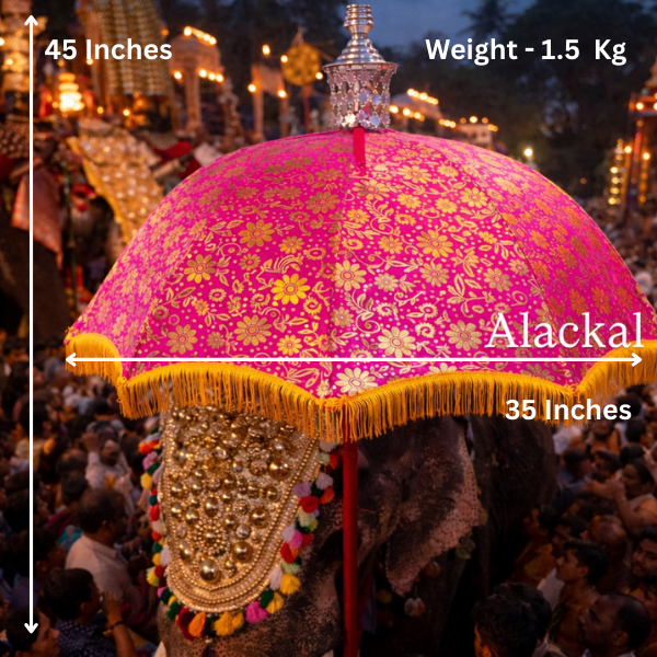 Hindu wedding bridal entry umbrella USA